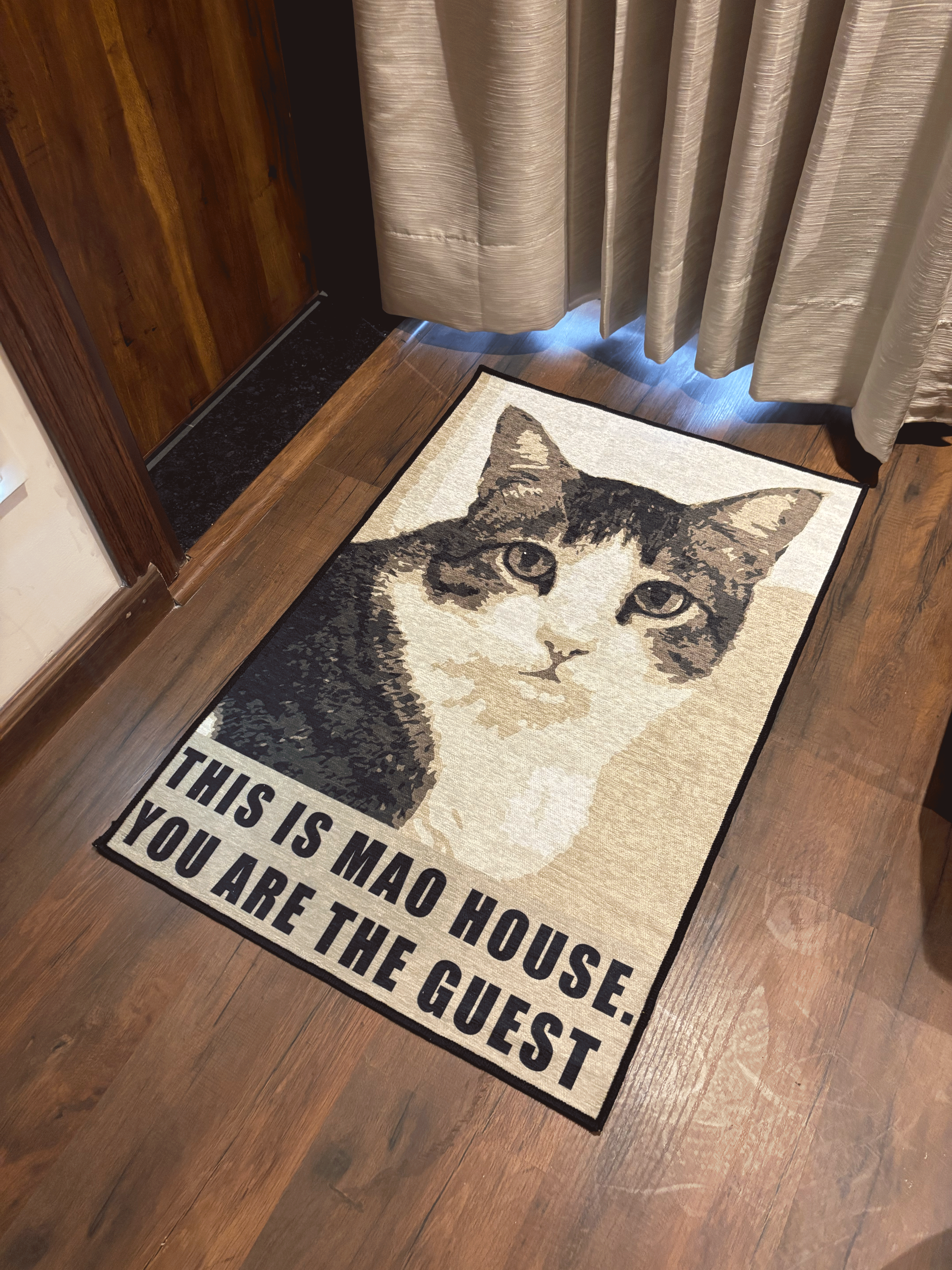 Cat Welcome Door Washable Rug by The Drip Co.